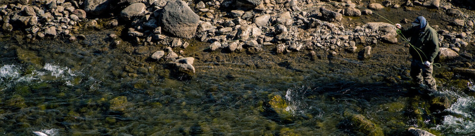 The Flying Fisherman