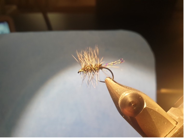 The Flying Fisherman