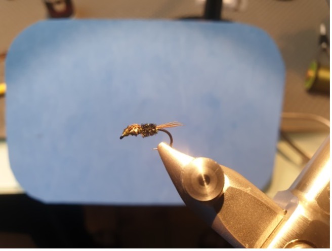 The Flying Fisherman