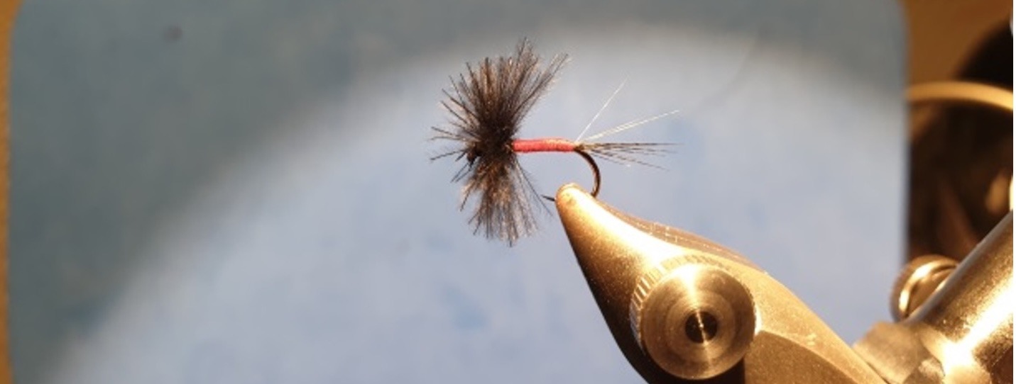 The Flying Fisherman