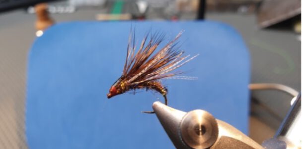 SLF Caddis Emerger
