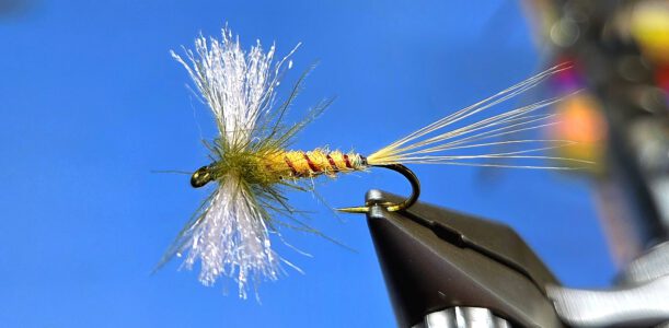 Polywing Danica #12 Trockenfliege